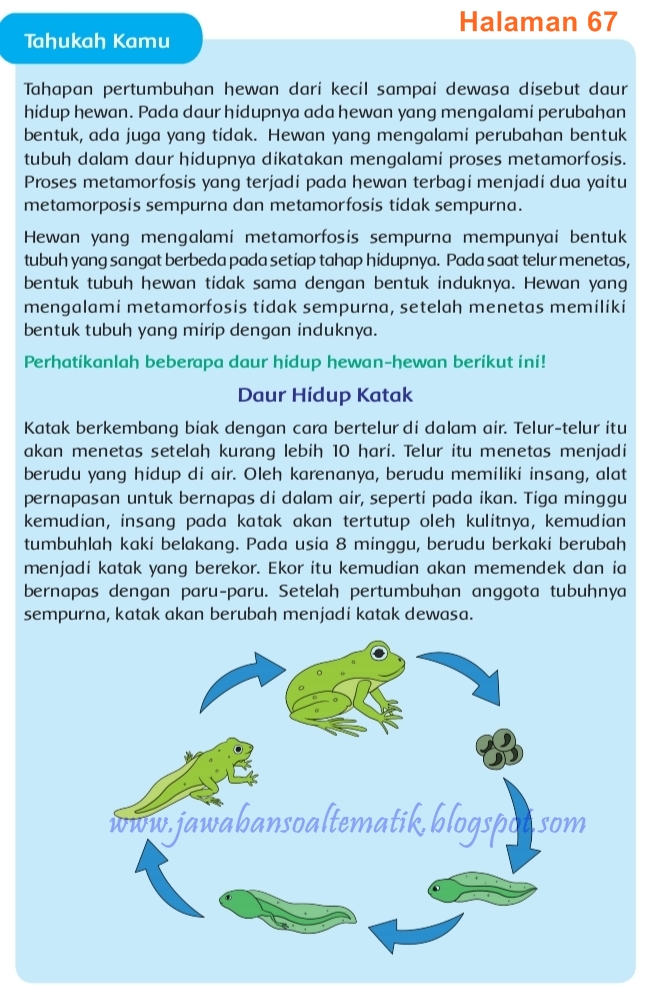 Kunci Jawaban Buku Tematik Tema 6 Kelas 4 Halaman 63, 64