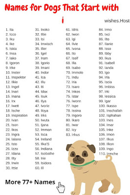 Girl and Boy Dog Names That Start with i
