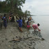 Akibat Ribuan Ekor Ikan Mati Di Sungai Rokan, Nelayan Kesulitan Mendapatkan Ikan