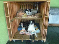 Casetas para perros hechas con palets reciclados