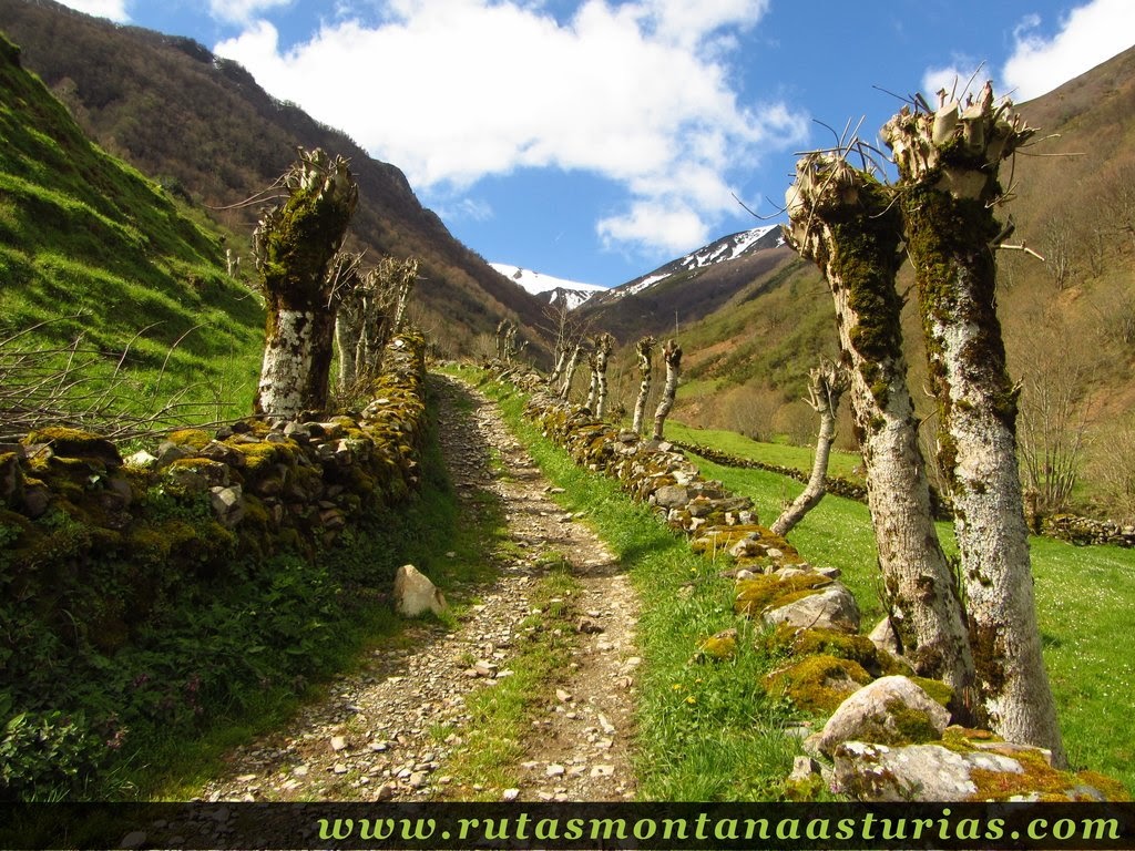 Foto de Ruta de las Fuentes en Cangas del Narcea, Asturias