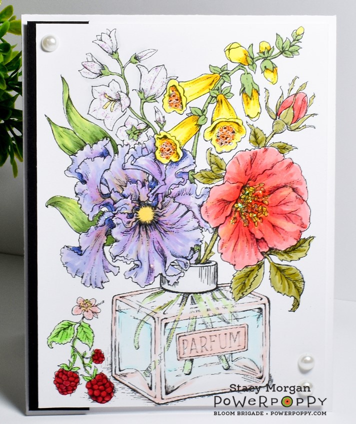 Twinshappy: Pure Fragrance