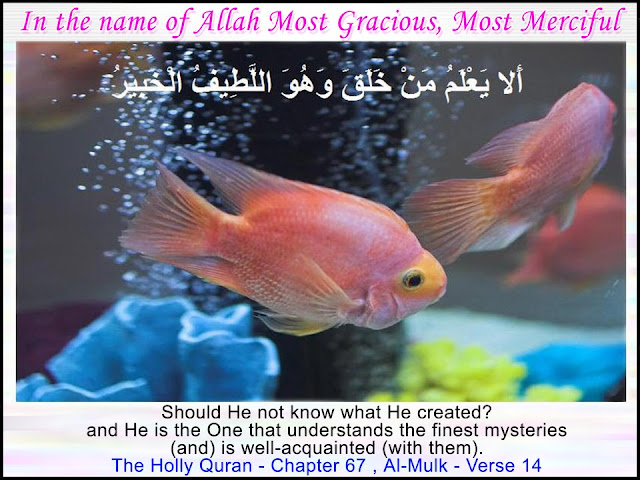 Allah nabi da naam lena chase