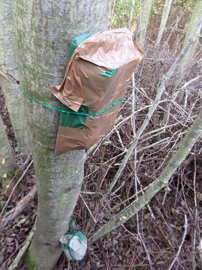 Madhouse Family Reviews Madhouse Diaries Best geocache ever