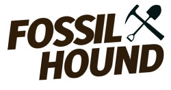Fossil Hound Exploration