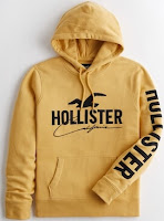 onde-comprar-moleton-hollister-original-importado-dos-eua-no-brasil