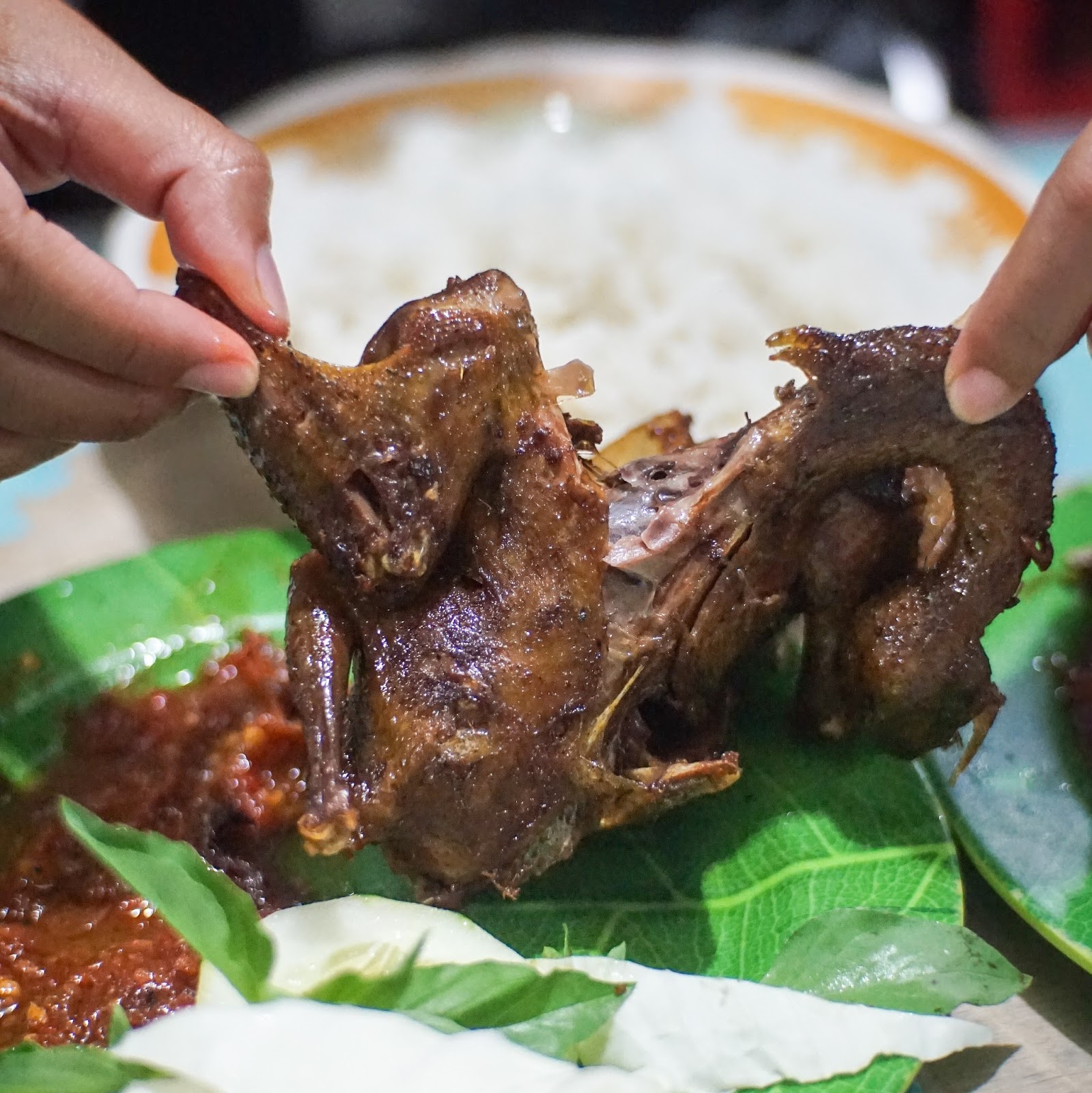 Warung Lalapan Burung Dara Terbaik Di Kediri Warung Mm 98