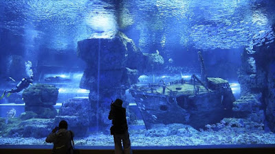 Abren el acuario en China, fue construido a mayor altitud en el mundo