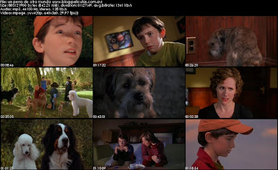 ver online Un Perro de Otro Mundo