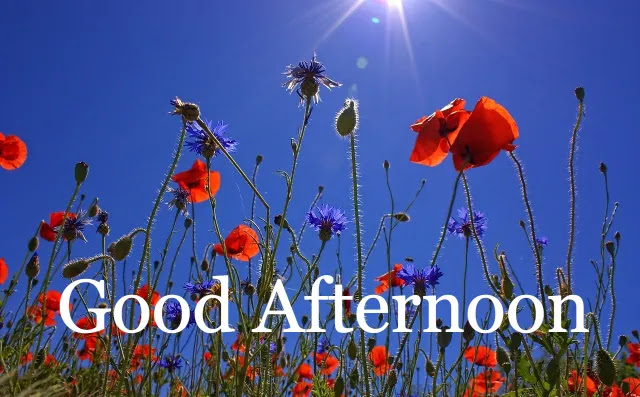 Good Afternoon Image HD