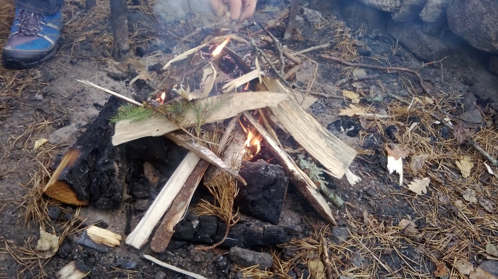 Köpa sex av tiggare Köpa sex av tiggare