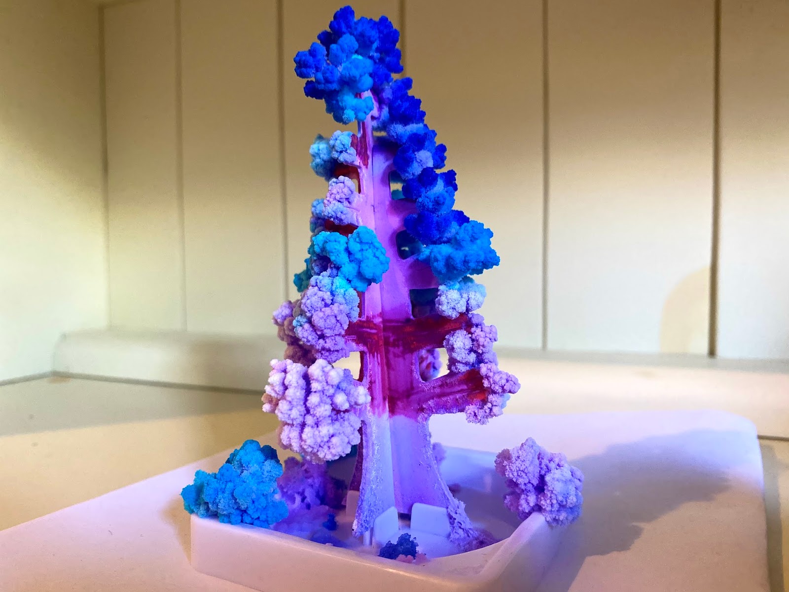 Giveaway National Geographic Crystal Garden Counting To Ten