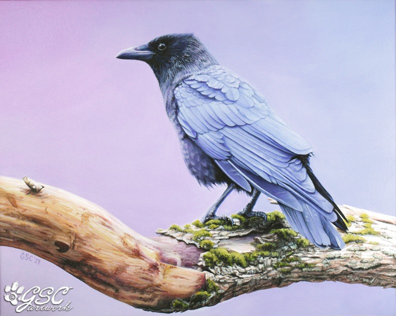 american crow black bird wildlife art realism acrylics acrylic painting avian gsc artwork