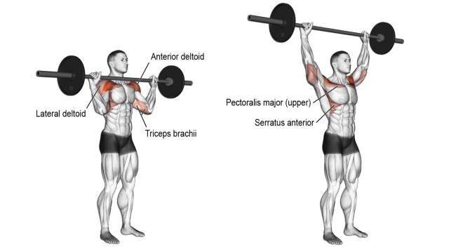 push barbell from behind the head