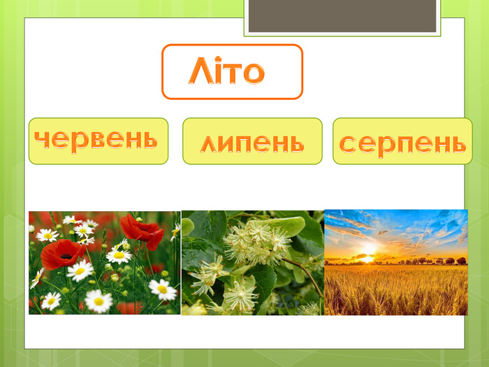 червень. червень украинский месяц. червень місяць. украинские названия месяцев и перевод на русский. названия месяцев на украинском.