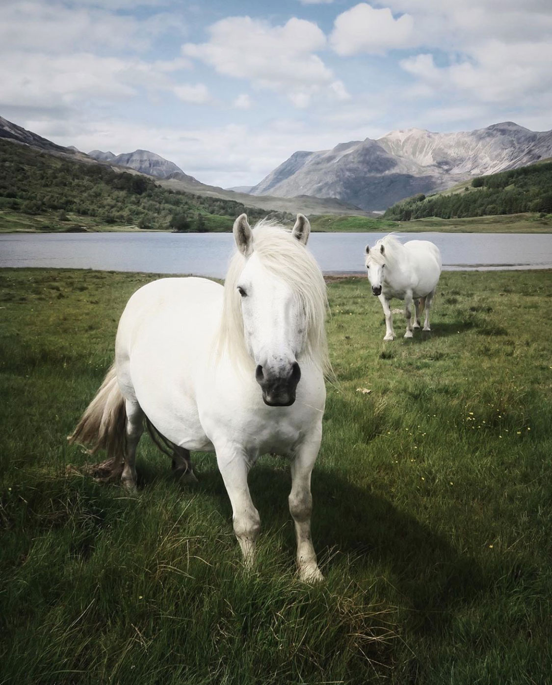Weekday Wanderlust | The Scottish Highlands