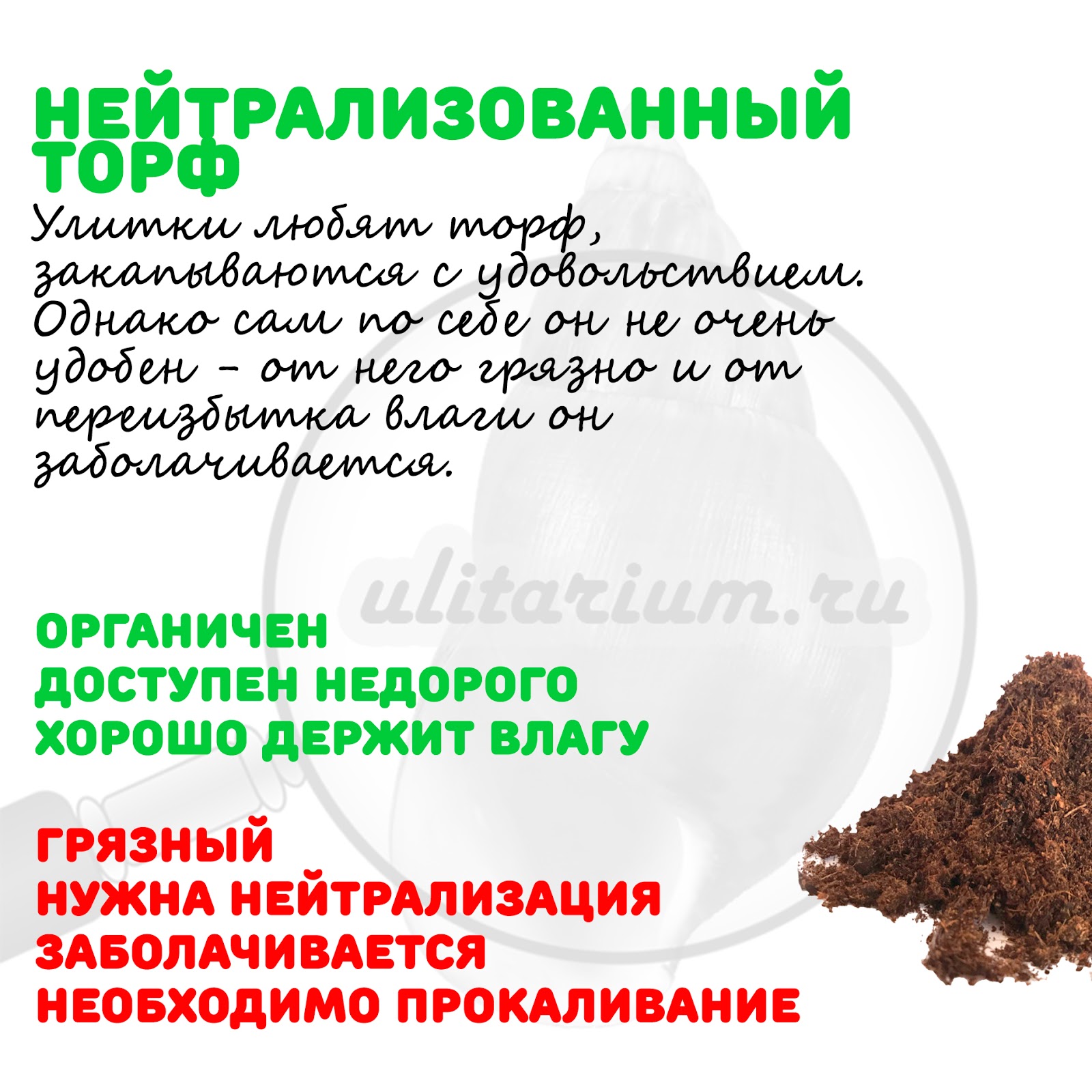 Улитариум - улитки ахатины, виды ахатин, кормление ахатин, правила ...