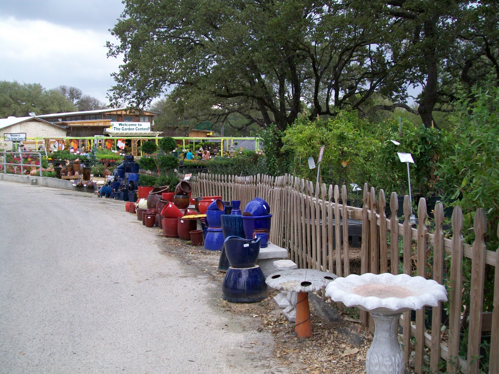 Rock-Oak-Deer: The Garden Center - Fall in South Texas