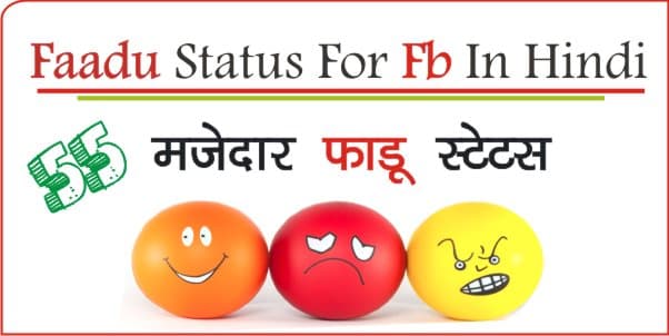 Faadu-Status-For-Fb-In-Hindi