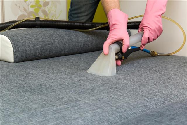 Learn About Professional Upholstery Cleaning Services