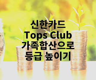 [생활팁/카드]신한카드 Tops Club 가족합산으로 등급 높이기