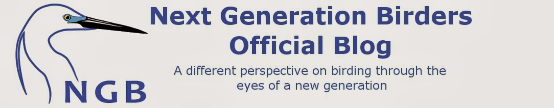 Next Generation Birders Official Blog