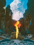 Bonobo-Migration 2017