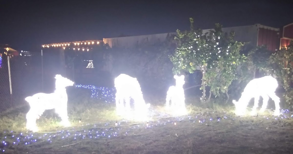 Vertuccio Farms' Lights at the Farm Review