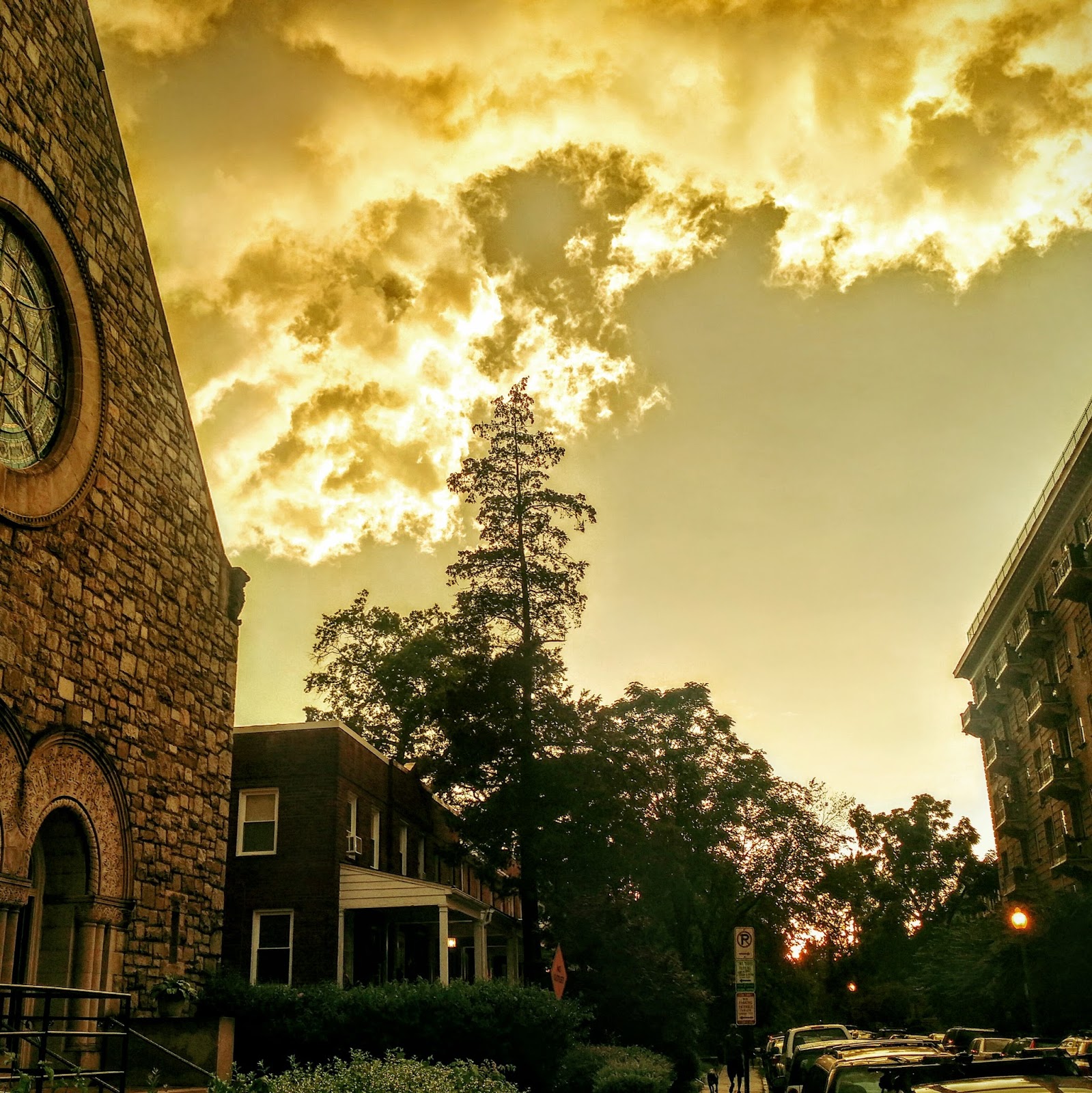 The 42 Newton Street Sunset