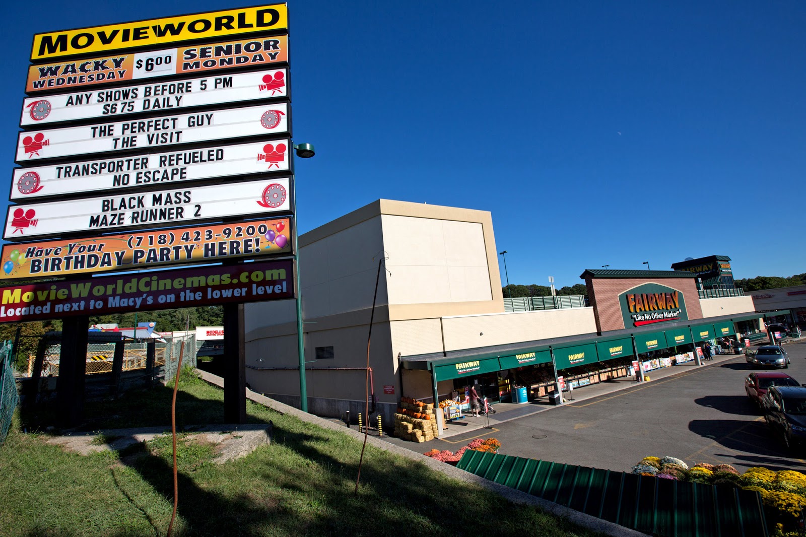 Wide Screen World Movieworld, the jewel of Eastern Queens, to close