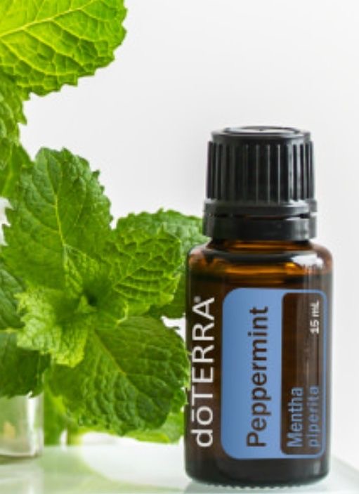 doTERRA Peppermint Essential Oil Manfaat & Kegunaan