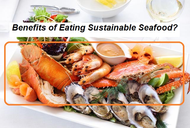 Benefits of Eating Sustainable Seafood