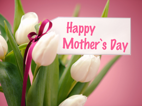 Mothers Day Roses, Happy Mothers Day Flowers, Best Mothers Day Presents 2016 Mothers Day Roses, Happy Mothers Day Flowers, Best Mothers Day Presents 2017