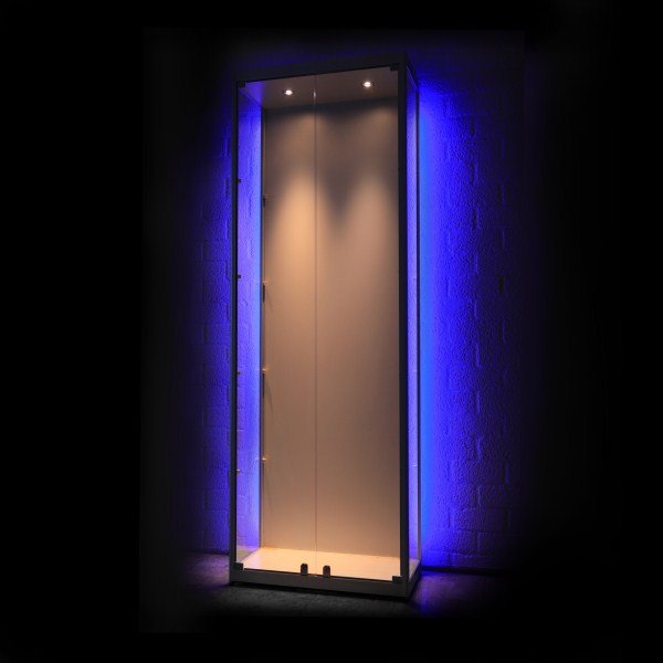 Vitrinekast Vitrinekasten Glas Glazen Vitrinekast Vitrines