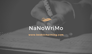 NaNoWriMo