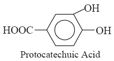 Protocatechuic-Acid