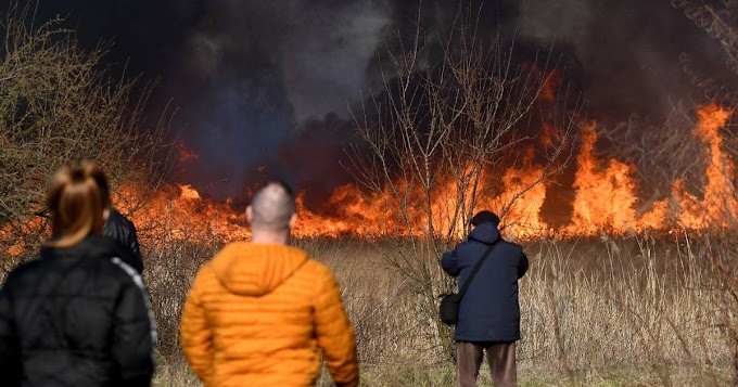 Felcsaptak a lángok a Borsod-Abaúj-Zemplén megyei Nádasréten