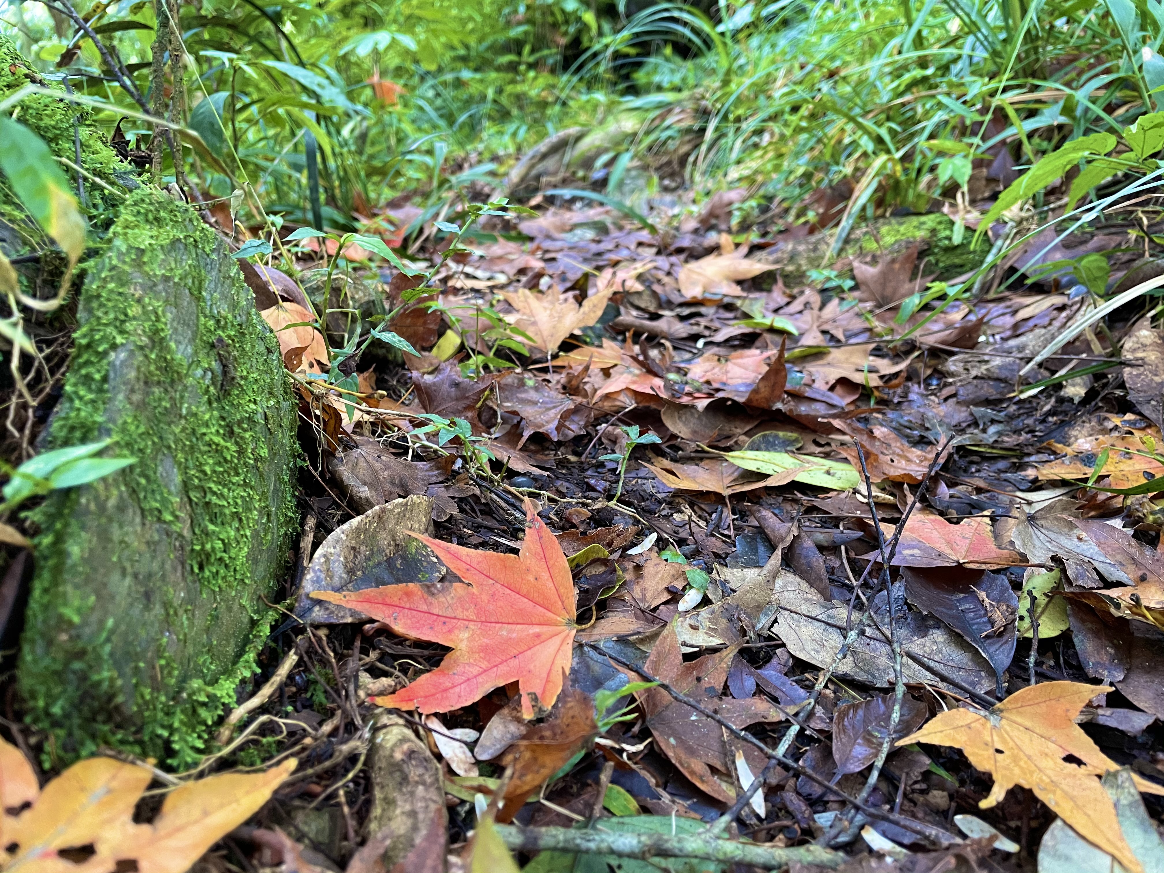 清代八通關古道舊路線