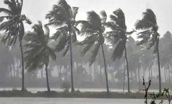 Thrissur, News, Kerala, Rain, Electricity, Road, House, Police, Wind, Tree, Koratty, heavy rain and wind in Koratty
