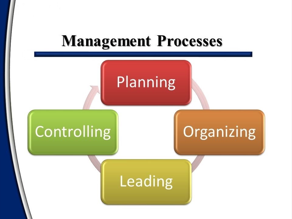 Management for All: MANAGEMENT PROCESSES