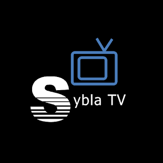 sybla tv gratuit pour samsung galaxy mini