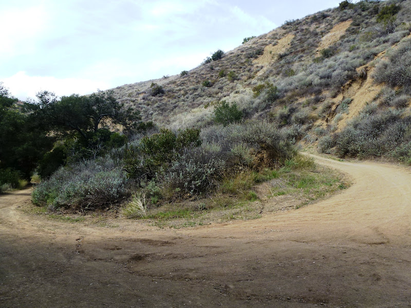Black Star Canyon Falls (Cleveland National Forest)