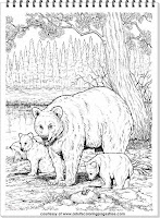 bear coloring pages realistic