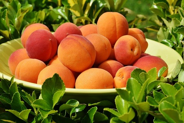 10 Healthy Benefits of Peaches