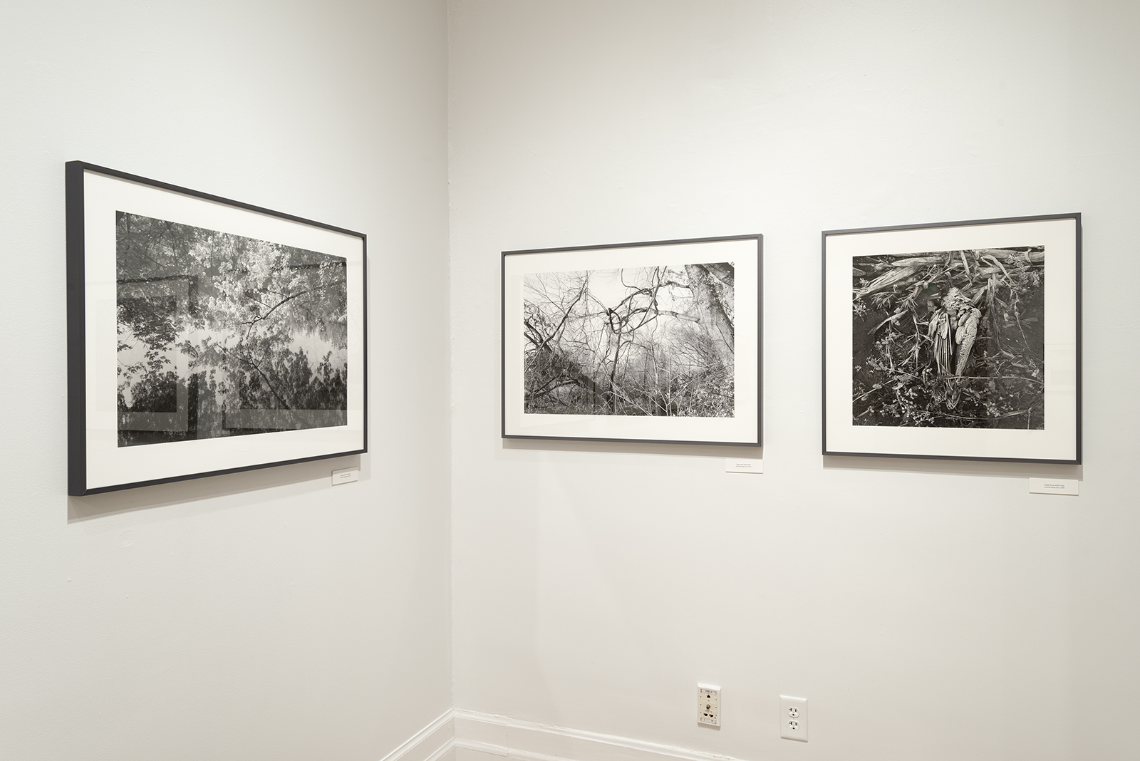 Picture Framing Blog A Good Frame of Mind Don’t Hide Your Art! Frame