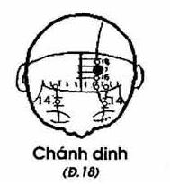 Vị trí huyệt chính dinh