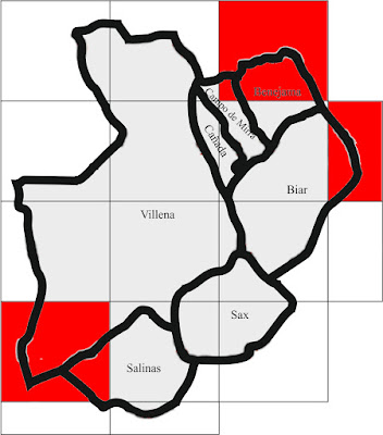 Coleopteros de Villena y comarca Anthaxia hungarica