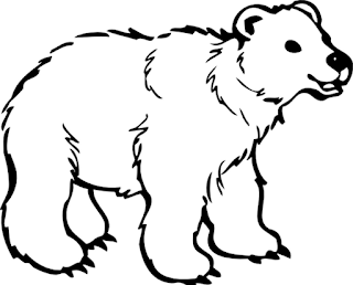 Belajar Mewarnai Gambar Binatang Anak Beruang Lucu Format Png