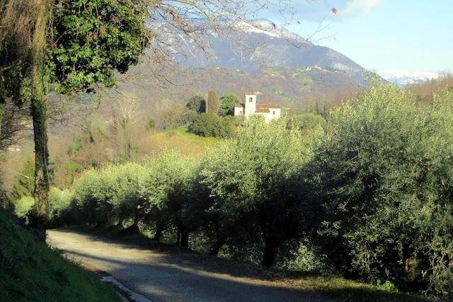 colline san benedetto marostica