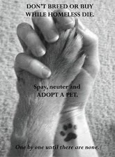 please adopt